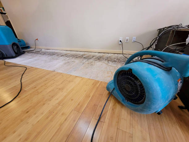 Professional Water Removal technician working in Georgetown, OH